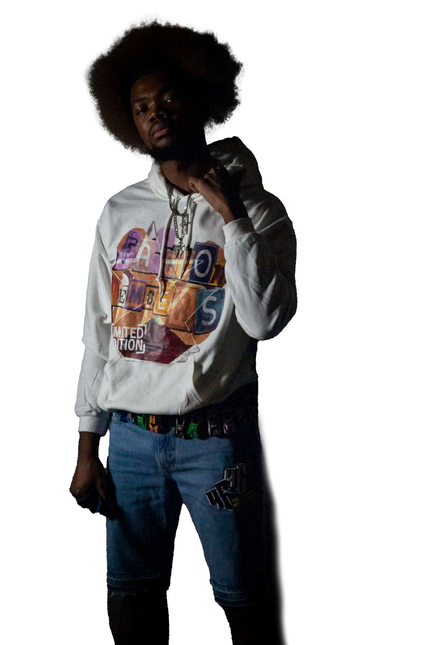 FASHION MEMBERS hoodies